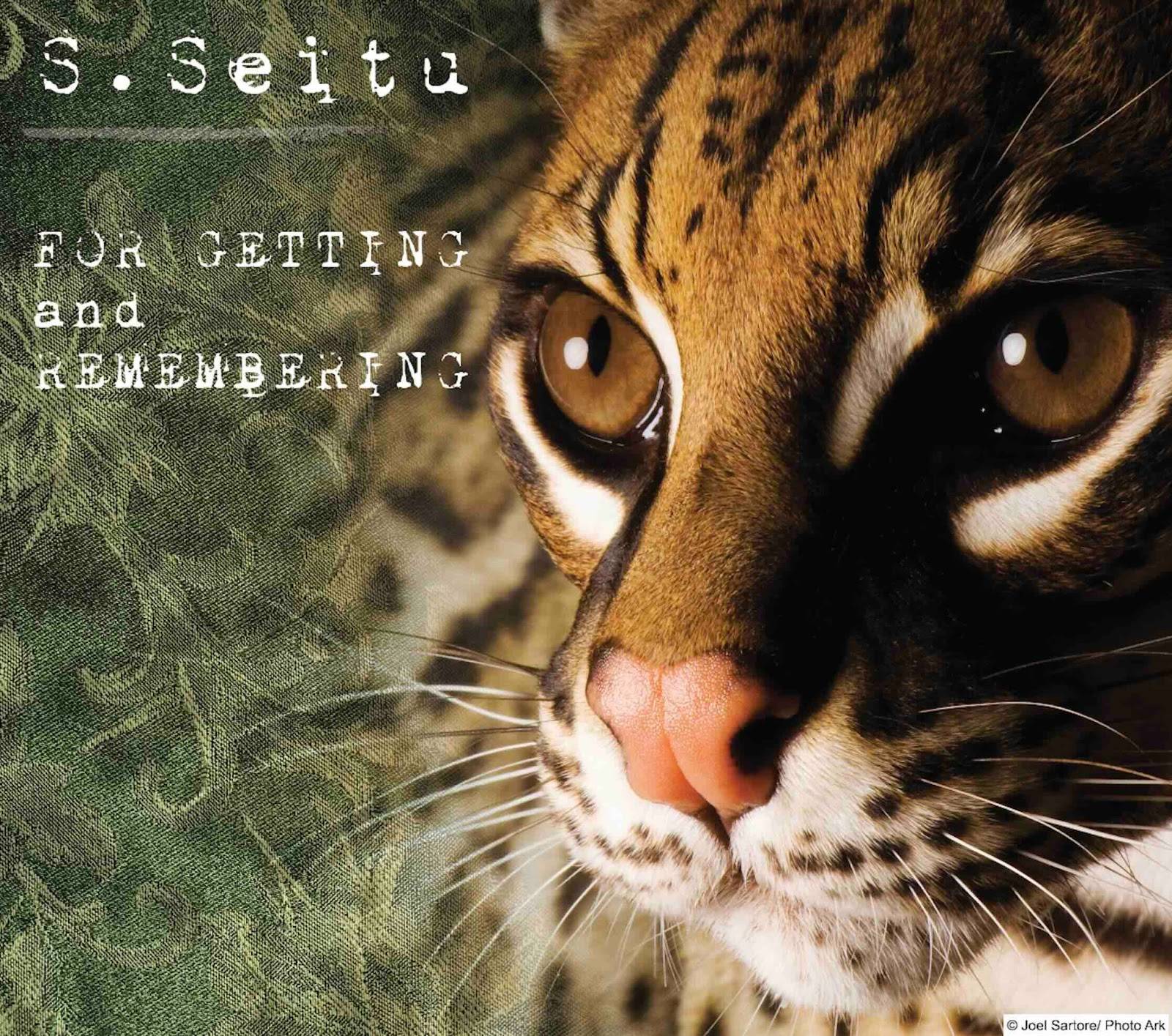 Seitu - For Getting and Remembering